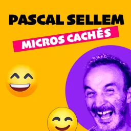 Les Micros Cachés de Pascal Sellem sur Europe 2 Podcast artwork