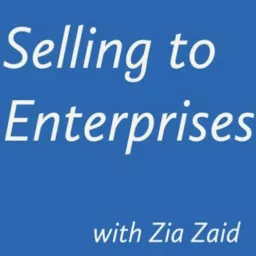 Selling to Enterprises Podcast artwork