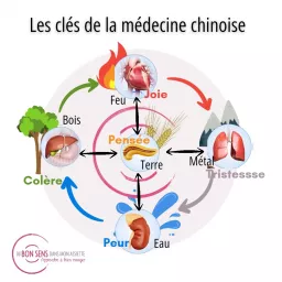 ☯️ Les clés de la médecine chinoise ☯️