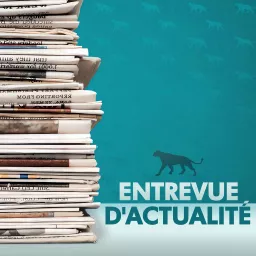 Entrevue d’actualité Podcast artwork