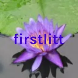 firstlitt Podcast artwork