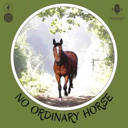 No Ordinary Horse