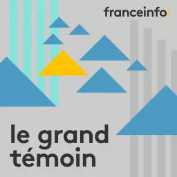 Le grand témoin