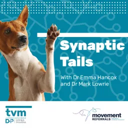 Synaptic Tails Podcast artwork