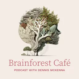 Brainforest Café Podcast artwork