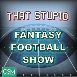 That Stupid Fantasy Football Show Podcast artwork