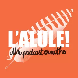 L'Alule ! Un podcast ornitho🪶 artwork