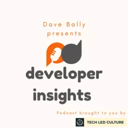 Developer Insights Podcast artwork