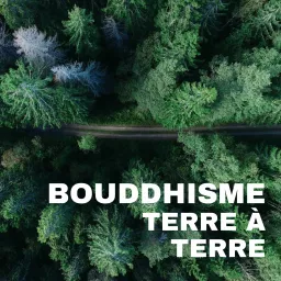 Bouddhisme terre à terre Podcast artwork