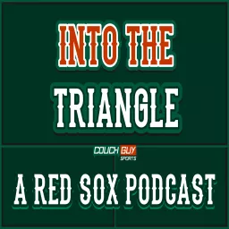 Into the Triangle Podcast artwork