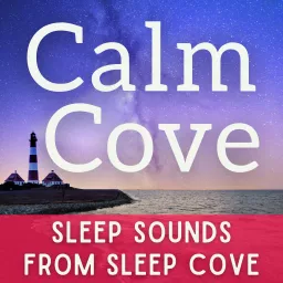 Sleep Sounds - White Noise & Sleep Music from Calm Cove Podcast artwork