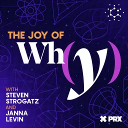 The Joy of Why Podcast artwork