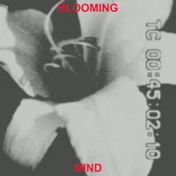 Aleyna´s blooming mind