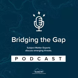 Bridging the Gap Podcast artwork