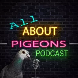 All About Pigeons Podcast artwork