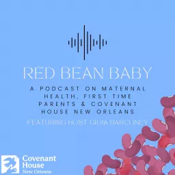 Red Bean Baby Podcast artwork