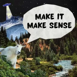 Make it Make Sense Podcast artwork
