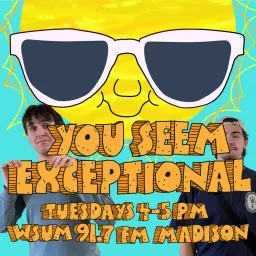 You Seem Exceptional Podcast artwork