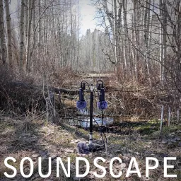 Soundscape