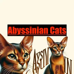 Abyssinian Cats Podcast artwork