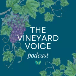 The Vineyard Voice Podcast artwork