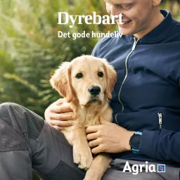 Dyrebart: Det gode hundeliv Podcast artwork