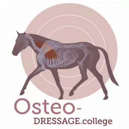 OsteoDressage - Reiten, wie es Pferde lieben