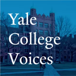 Yale College Voices: Exploring Diverse Roles and Innovative Projects of Our Staff