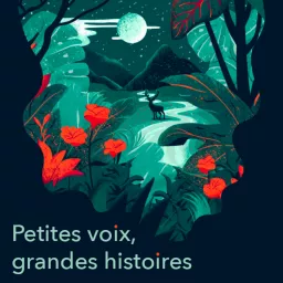 Petites voix, grandes histoires Podcast artwork