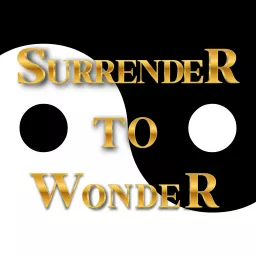 Surrender To Wonder Podcast artwork