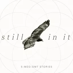 Still In It : 5-MeO-DMT Stories