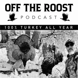 Off The Roost Podcast (Wild turkey hunting) artwork