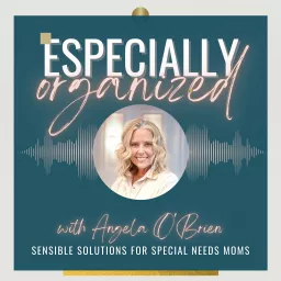 Especially Organized: Sensible Solutions for Special Needs Moms Podcast artwork