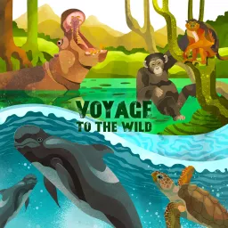 Voyage to the Wild Podcast artwork