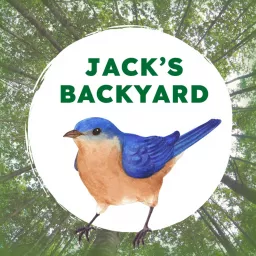 Jack's Backyard Podcast artwork