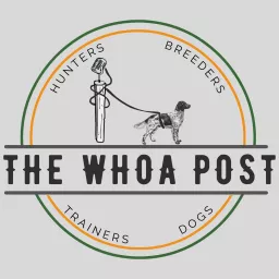 The Whoa Post Podcast artwork