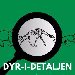 Dyr I Detaljen Podcast artwork