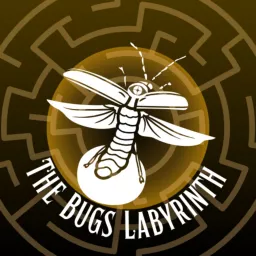 The Bugs Labyrinth Podcast artwork