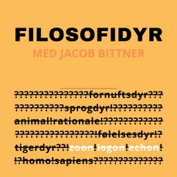 Filosofidyr