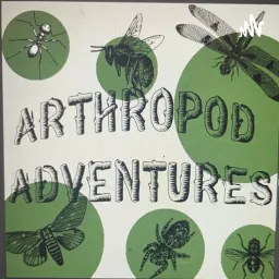 Arthropod Adventures Podcast artwork
