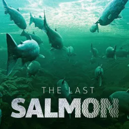 The Last Salmon Podcast artwork