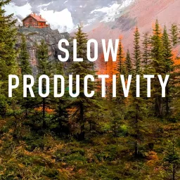 Slow Productivity Chapter Commentary