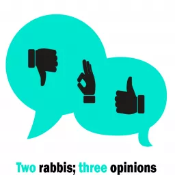 Two Rabbis, Three Opinions Podcast artwork