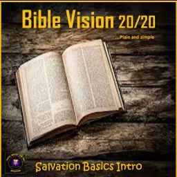 Bible Vision 20/20.... Plain and Simple