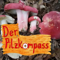 Der Pilzkompass Podcast artwork