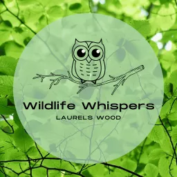Wildlife Whispers Podcast artwork