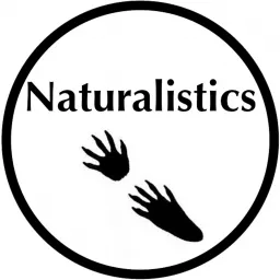 Naturalistics Podcast artwork