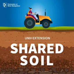 Shared Soil