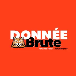 Donnée Brute Podcast artwork