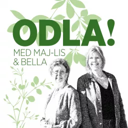 ODLA! Podcast artwork